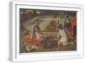 White Frame