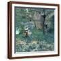Brown Frame