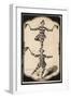 John Lee and Stephen Lee, Acrobats-null-Framed Giclee Print