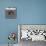 John Lee Hooker - Boogie Chillun-null-Art Print displayed on a wall