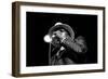 John Lee Hooker, Royal Festival Hall, London, 1988-Brian O'Connor-Framed Photographic Print