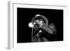 John Lee Hooker, Royal Festival Hall, London, 1988-Brian O'Connor-Framed Photographic Print