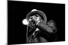 John Lee Hooker, Royal Festival Hall, London, 1988-Brian O'Connor-Mounted Photographic Print