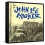 John Lee Hooker - The Country Blues of John Lee Hooker-null-Framed Stretched Canvas
