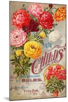 John Lewis Child's 1898 Fall Catalogue: Bulbs-null-Mounted Art Print