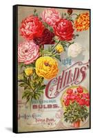 John Lewis Child's 1898 Fall Catalogue: Bulbs-null-Framed Stretched Canvas