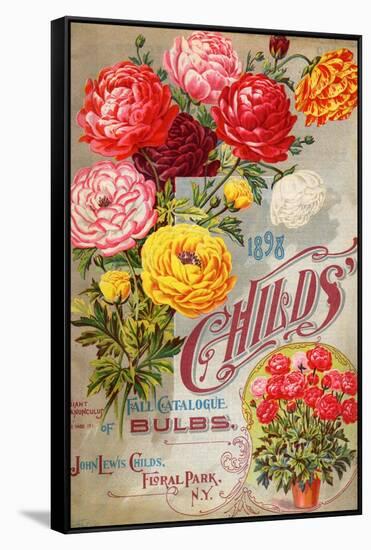 John Lewis Child's 1898 Fall Catalogue: Bulbs-null-Framed Stretched Canvas