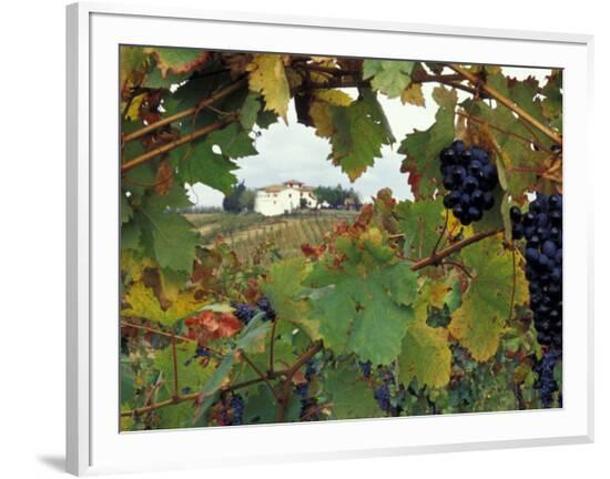 Framed Photographic Print, , large
