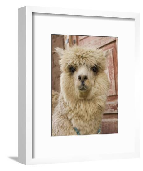 Framed Photographic Print, , large