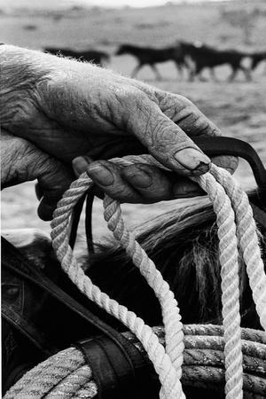 Close Up on Weather Beaten Hand of Whistle Mills Ranch Foreman Holding Rope