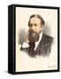 John Lubbock, First Baron Avebury, English Banker, Archaeologist, Naturalist and Politician, C1880-null-Framed Stretched Canvas