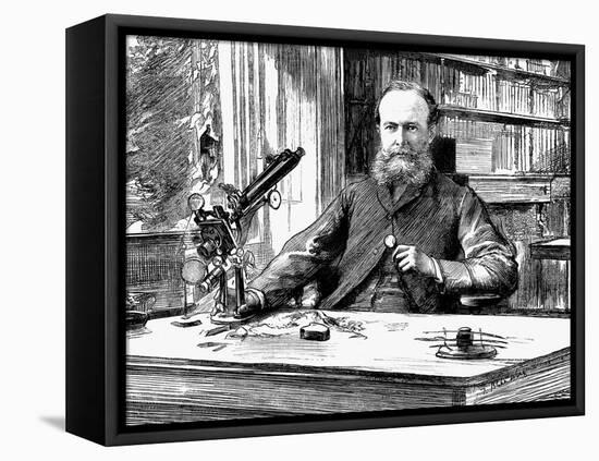 John Lubbock, Lst Baron Avebury, English Banker, Scientist and Liberal Politician, 1884-null-Framed Stretched Canvas