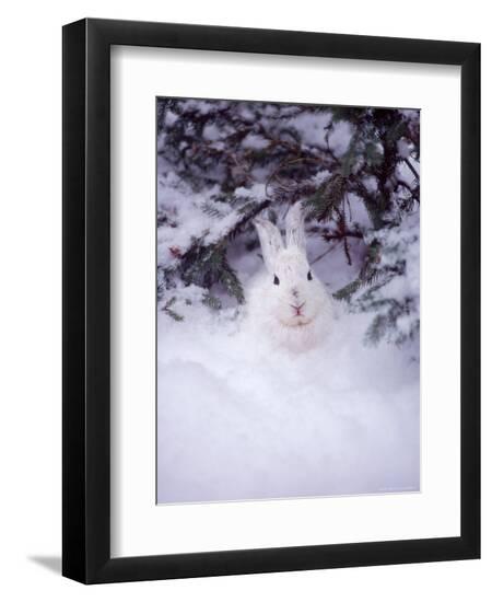 Premium Photographic Print, , large
