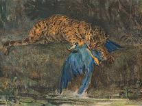 'Pastel Study of a Lion', c1900-John MacAllan Swan-Stretched Canvas