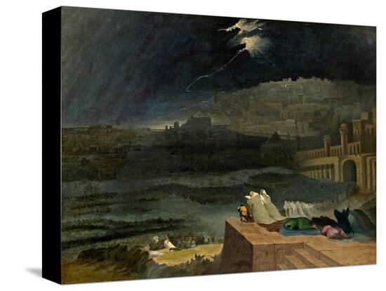 Stretched Canvas Print, , large