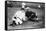 John McGraw, NY Giants, Fred Tenney, Boston Rustlers, Baseball Photo - New York, NY-Lantern Press-Framed Stretched Canvas