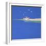 White Frame