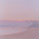 Morning Star, 2000-John Miller-Framed Stretched Canvas