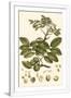 Gramercy White