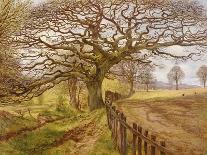 The Tree, 1861-John Milne Donald-Giclee Print