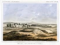A Cotton Wood Grove, 1856-John Mix Stanley-Giclee Print
