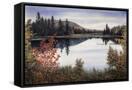 Canvas Black