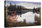 Stretched Canvas