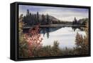 Canvas Black