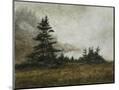 Wood Mount