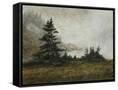 Canvas Black
