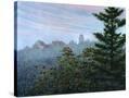 Stretched Canvas