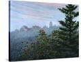 Stretched Canvas