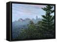 Framed Canvas