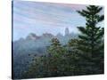 Stretched Canvas