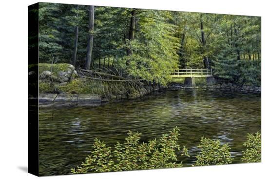Stretched Canvas Print, , large