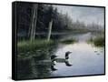 Canvas Black