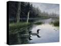 Stretched Canvas