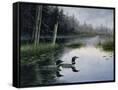 Canvas Black