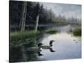 Stretched Canvas