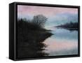Framed Canvas