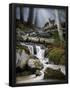 Essential Black