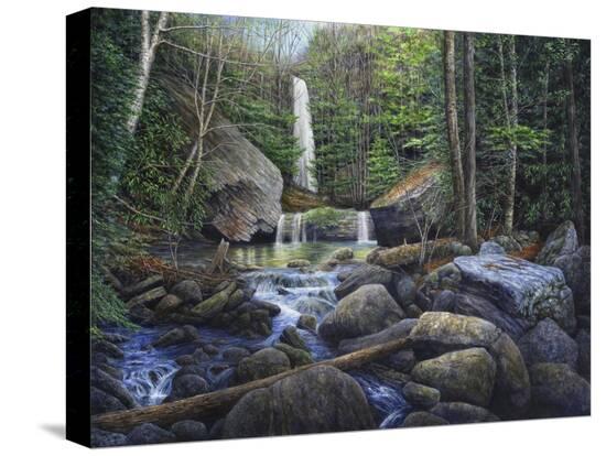 Stretched Canvas Print, , large