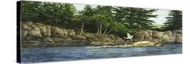 Stretched Canvas