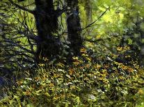 Through the Woods-John Morrow-Giclee Print