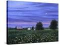 Stretched Canvas
