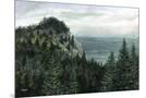 Wood Mount