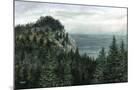 Wood Mount