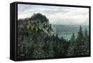 Canvas Black