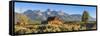 John Moulton Historic Barn, Mormon Row, Grand Teton National Park, Wyoming, Usa-Peter Adams-Framed Stretched Canvas