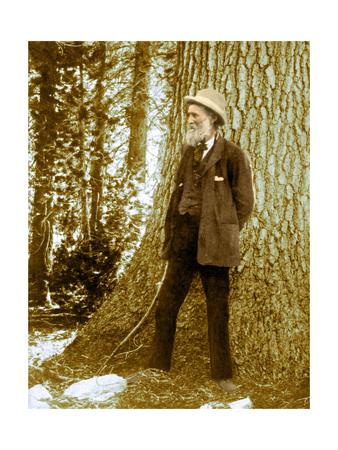 'John Muir, Scottish-American Naturalist' Giclee Print - Science Source ...